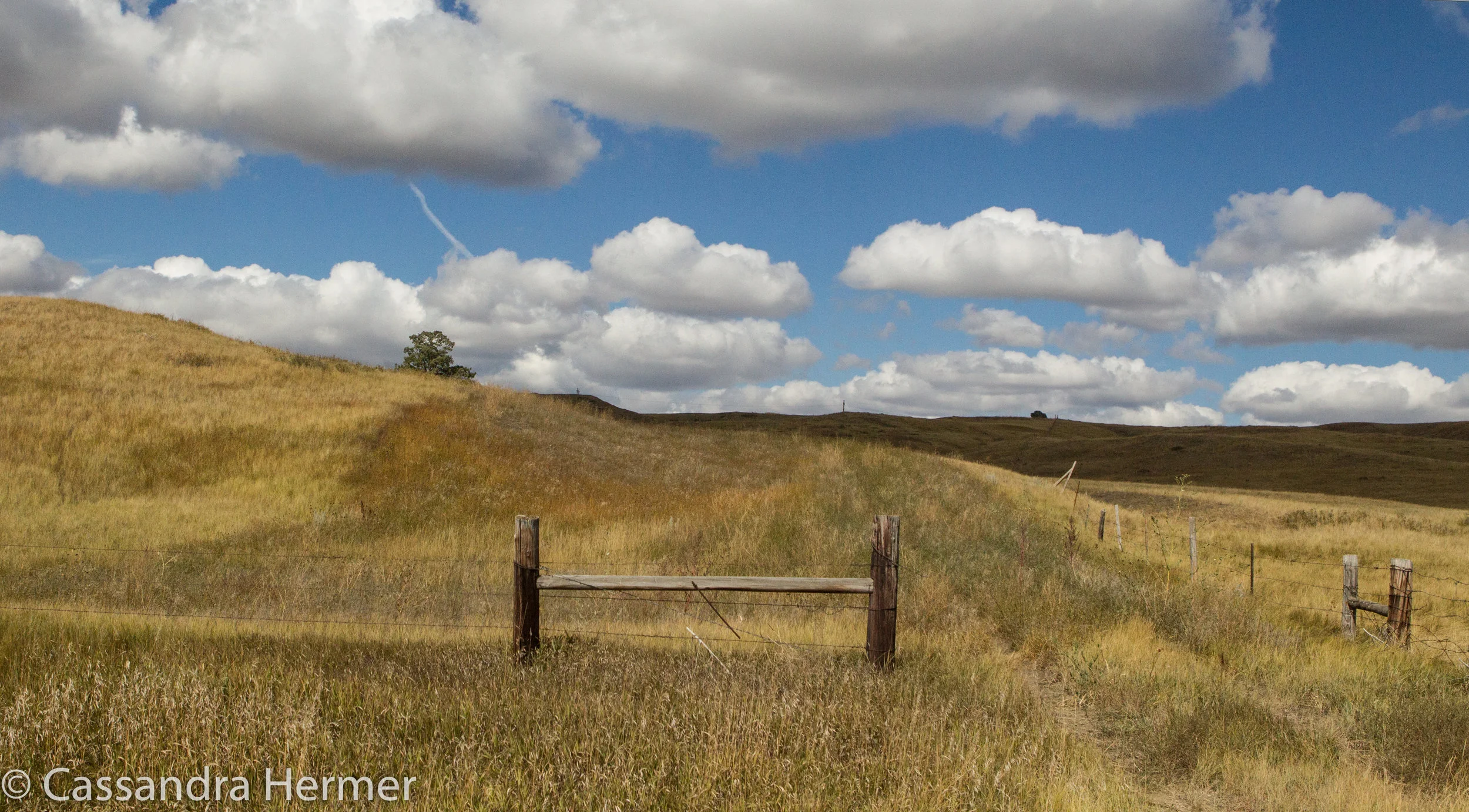  More of the farm road,SD 