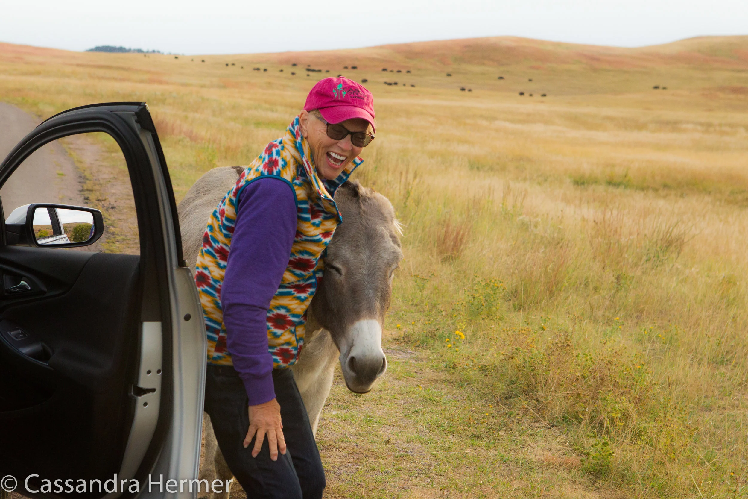  I fell in love with the beauty of South Dakota, the wide open spaces, and few people or traffic. But my heart really was lost on this wild donkey as he put his head near my body so I could scratch him.( the black dots behind me are buffalo) Our seco