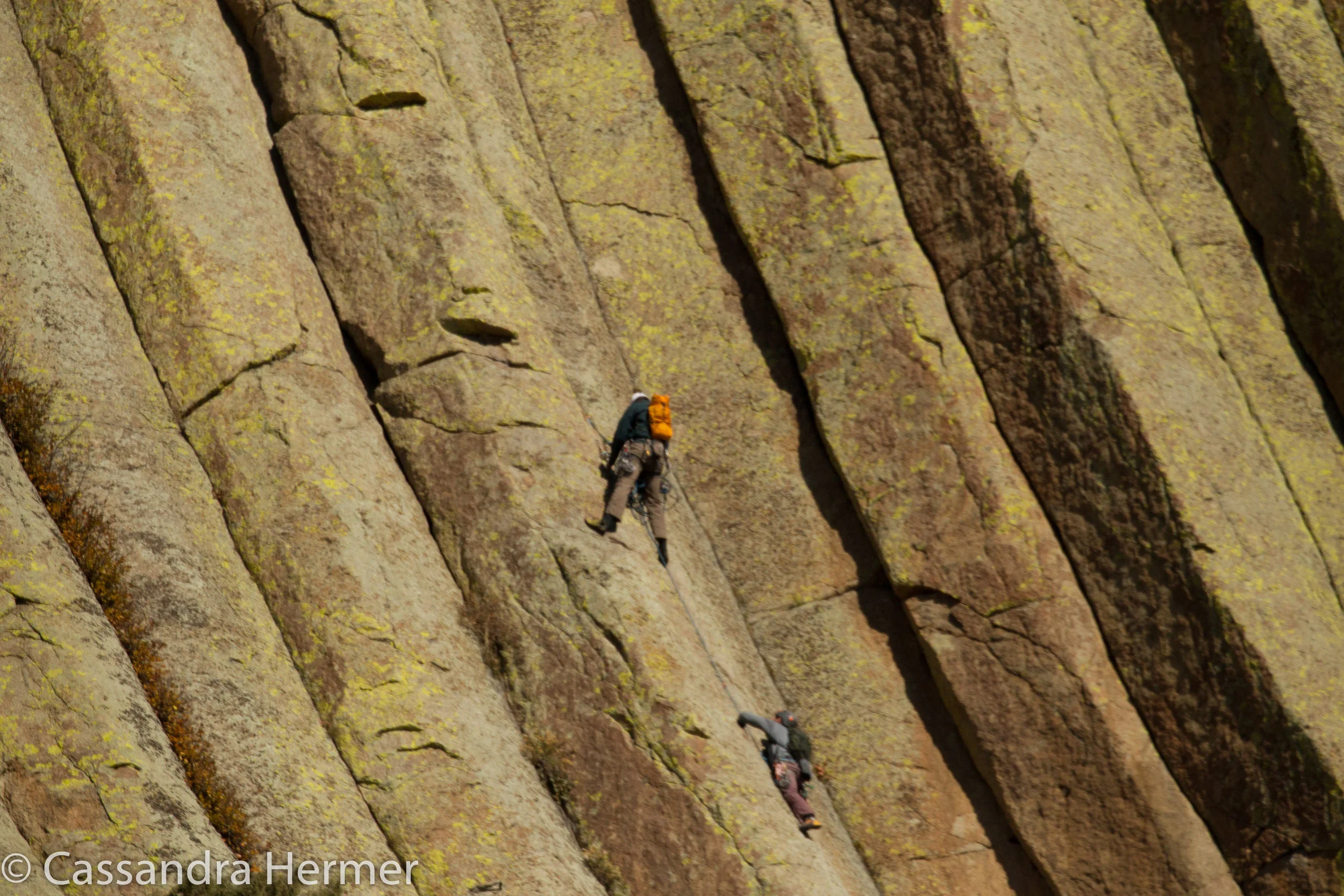  Devil’s Tower seems to draw a lot of rock climbers 