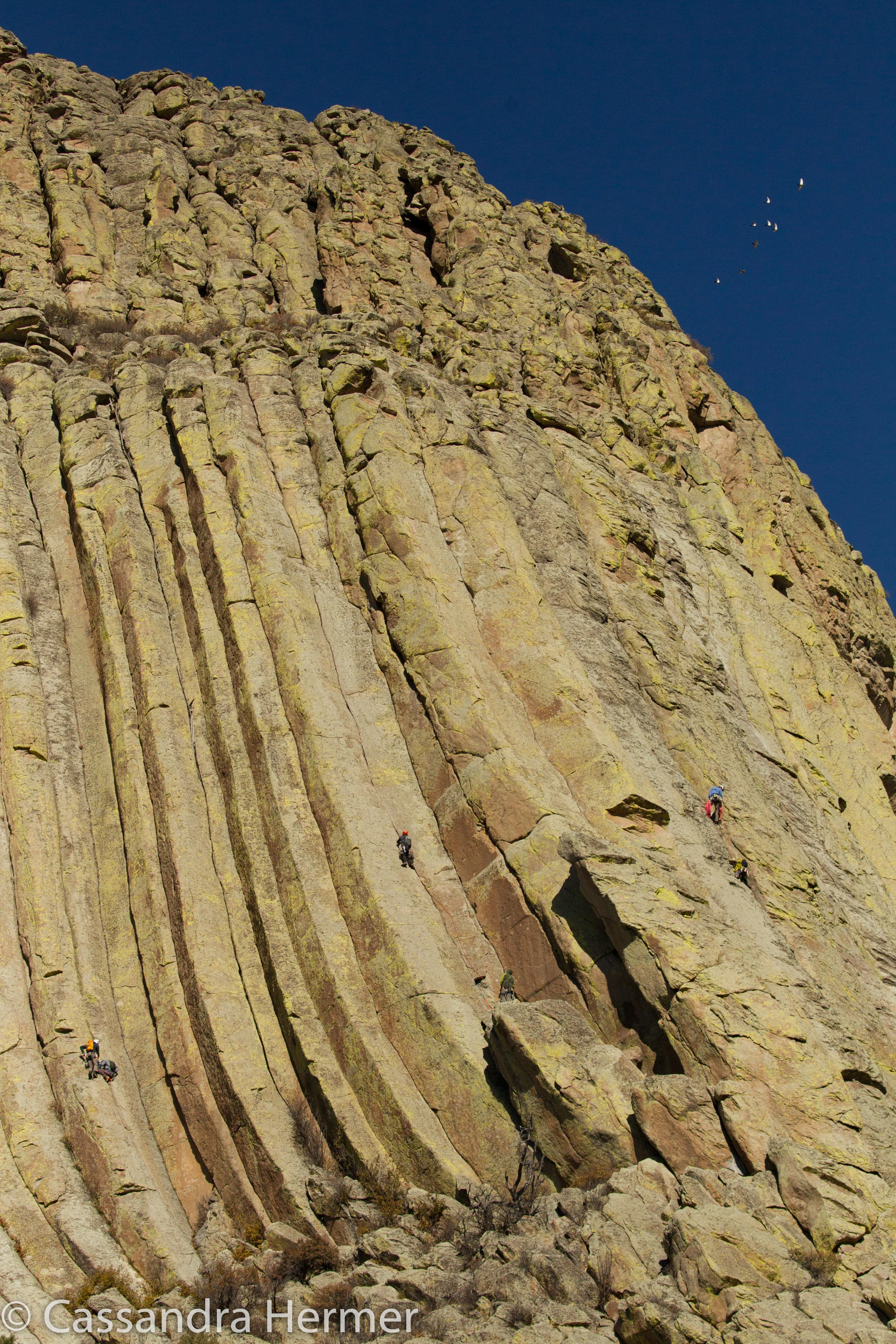  Look closely to see four rock climbers on Devil’s Tower 