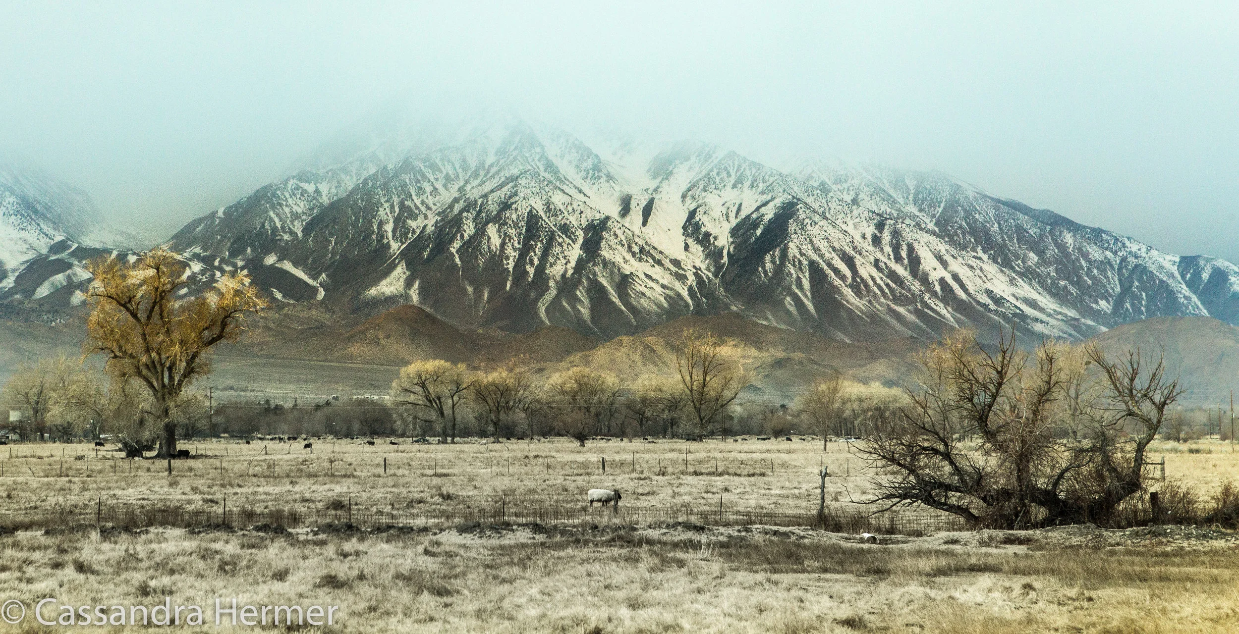  Hwy 395, near Bishop ,Ca. 