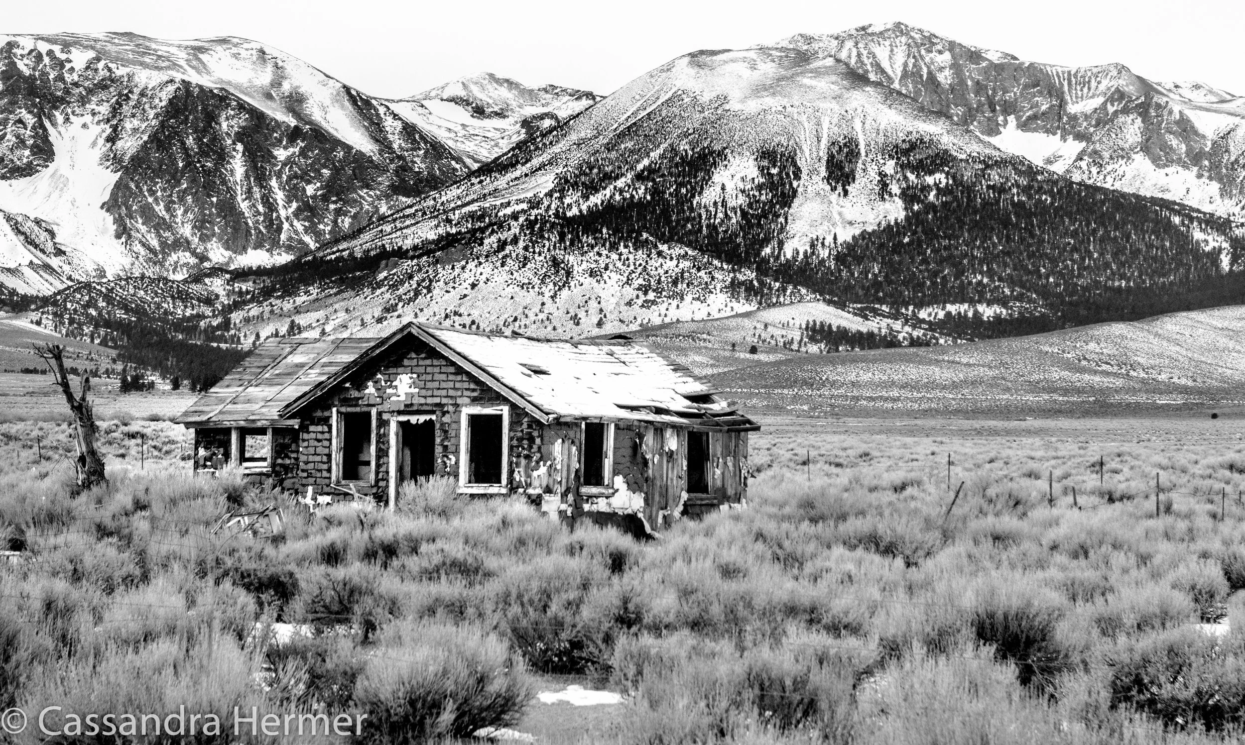  Near Mammoth Lakes, Ca. Hwy 395. 