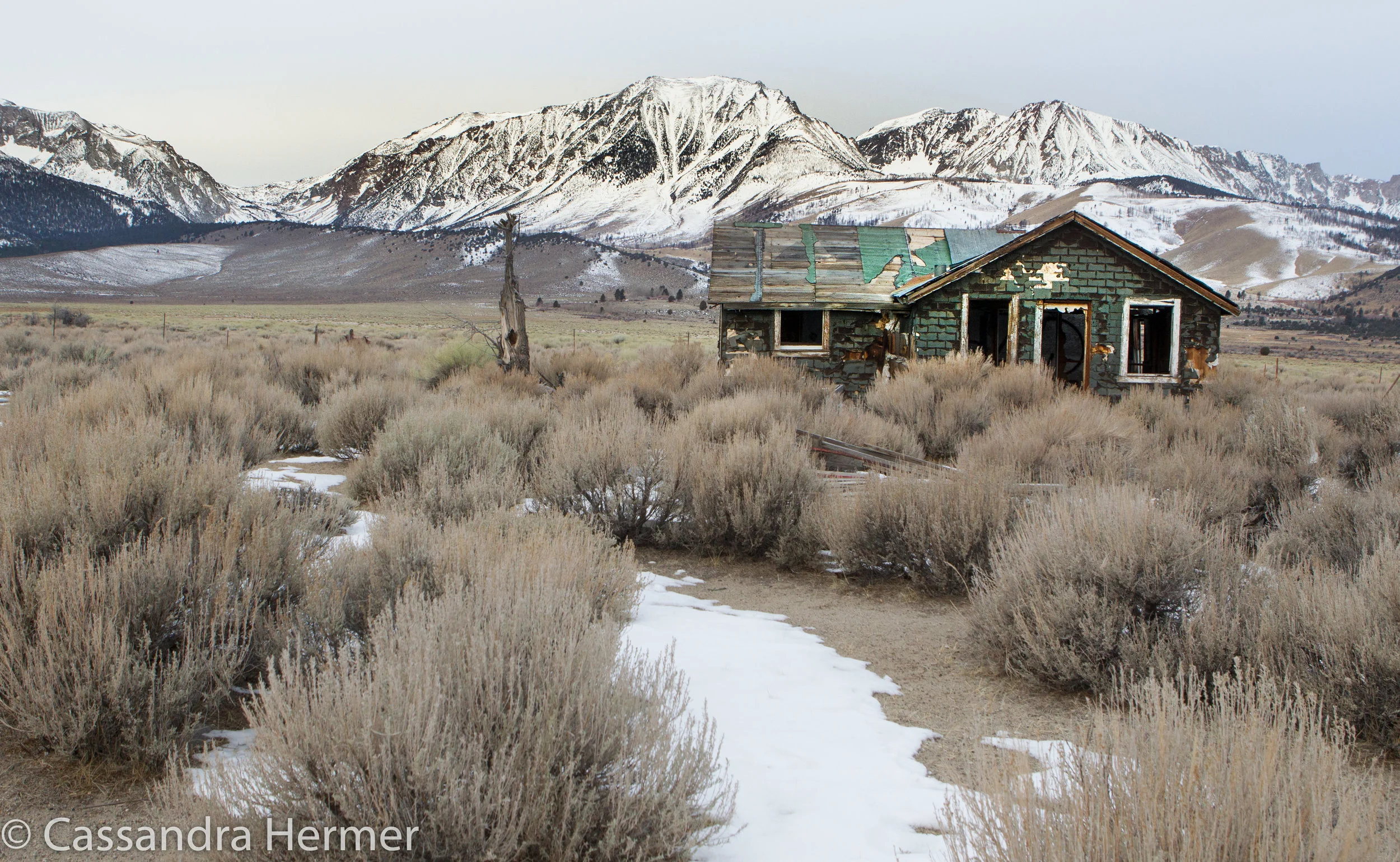  Near Mammoth Lakes, Ca. Hwy 395. 