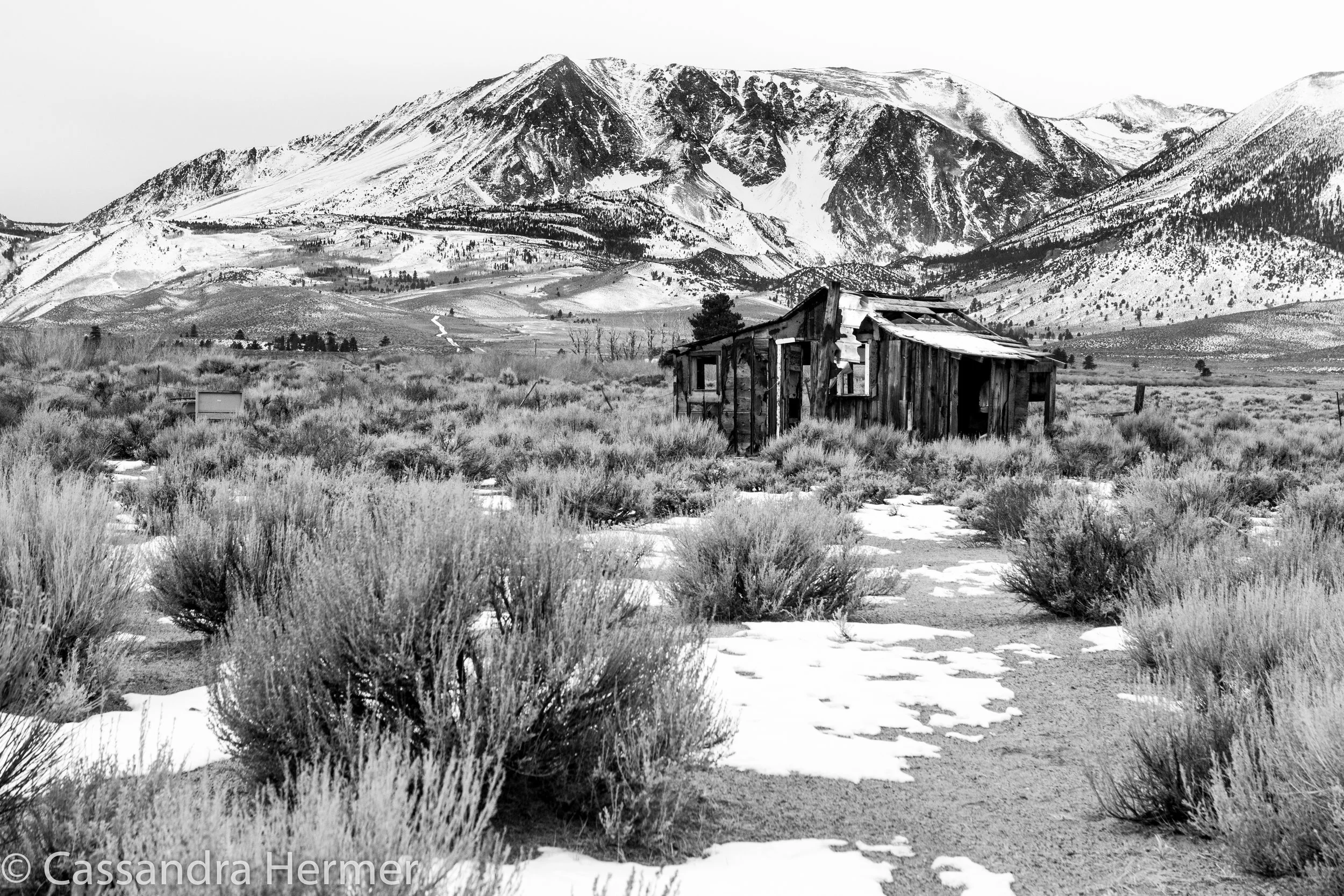  Near Mammoth Lakes, Ca. Hwy 395. 