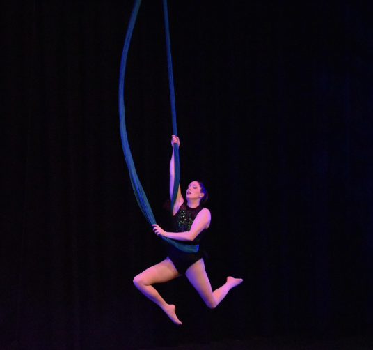 Aerial hammock artist