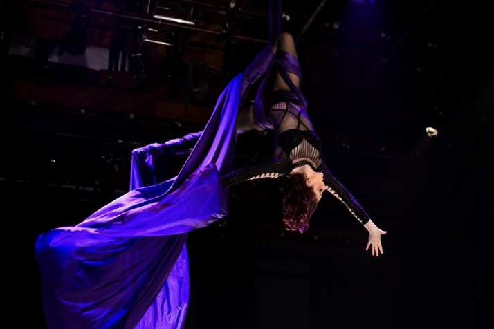 CircArts aerialist performing on stage
