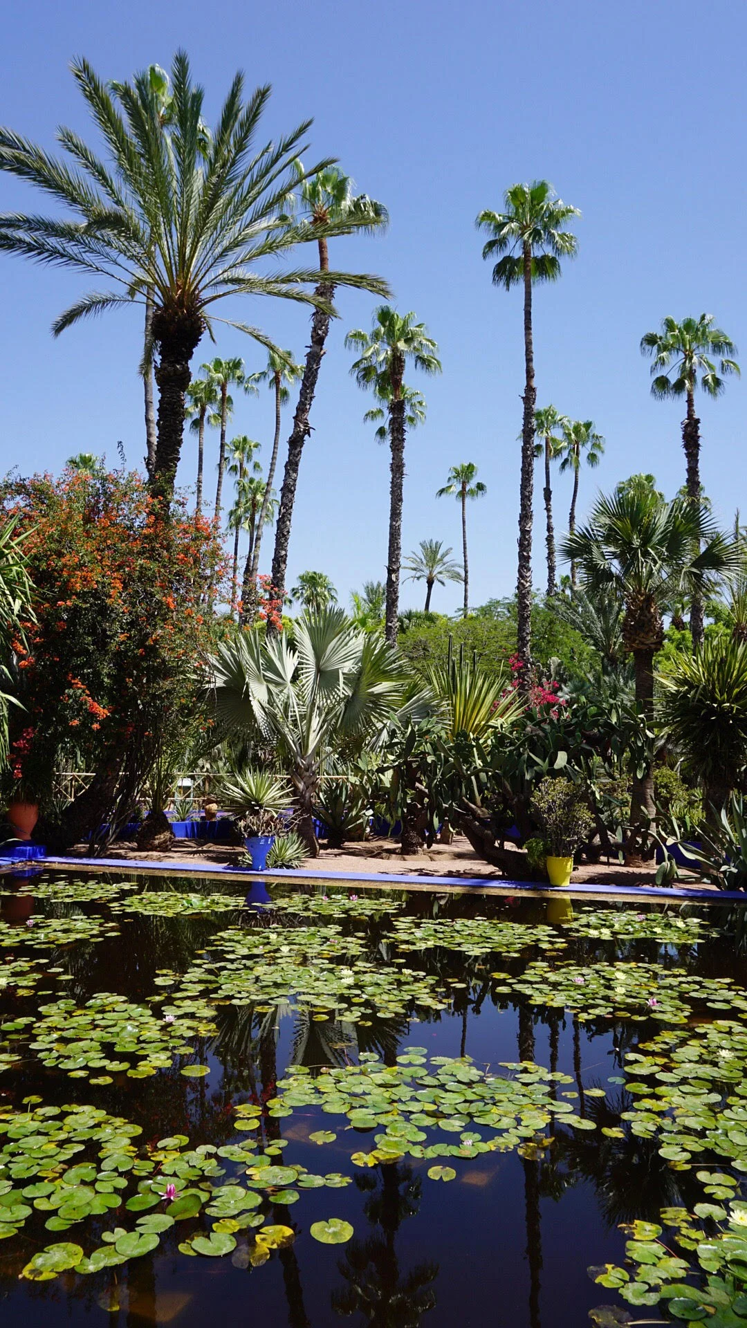 Yves Saint Laurent's, Jardin Majorelle — The Spotted Bannana