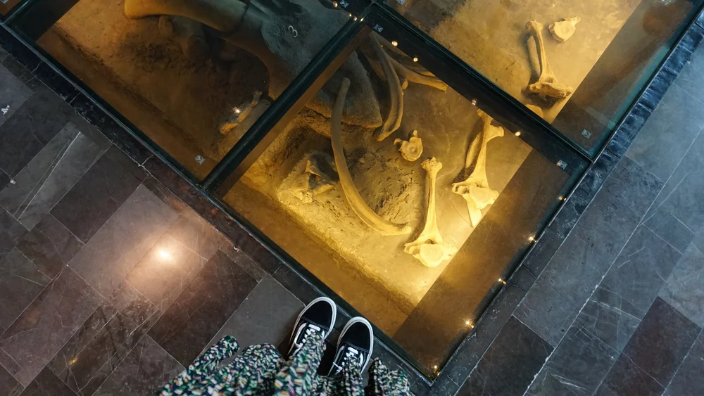 JPEG image-9155E9EDDEAE-1.jpeg