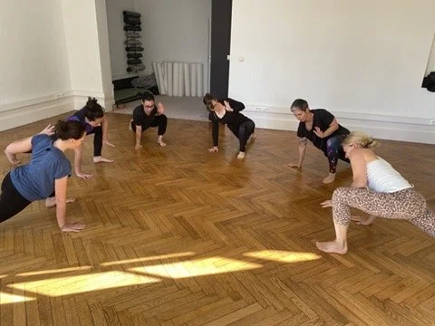 Animal Flow Discovery Session
