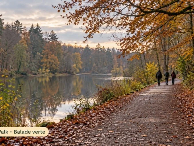 Green Walk Brussels — Autumn colours from Boitsfort ponds to Saint-Job 🍂