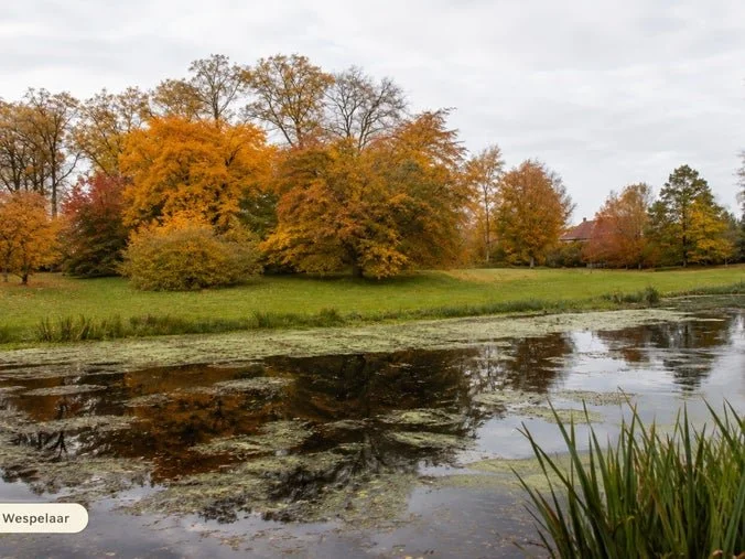 Arboretum Wespelaar in Autumn 🍂