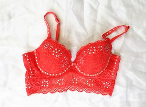 DIY Burlesque - How To Make A Rhinestone Bra! - Burlesque with Paris Latest  News  Goole, Selby, Featherstone, Hull and Doncaster<br/> - Available to  all ladies of all shapes, sizes and abilities