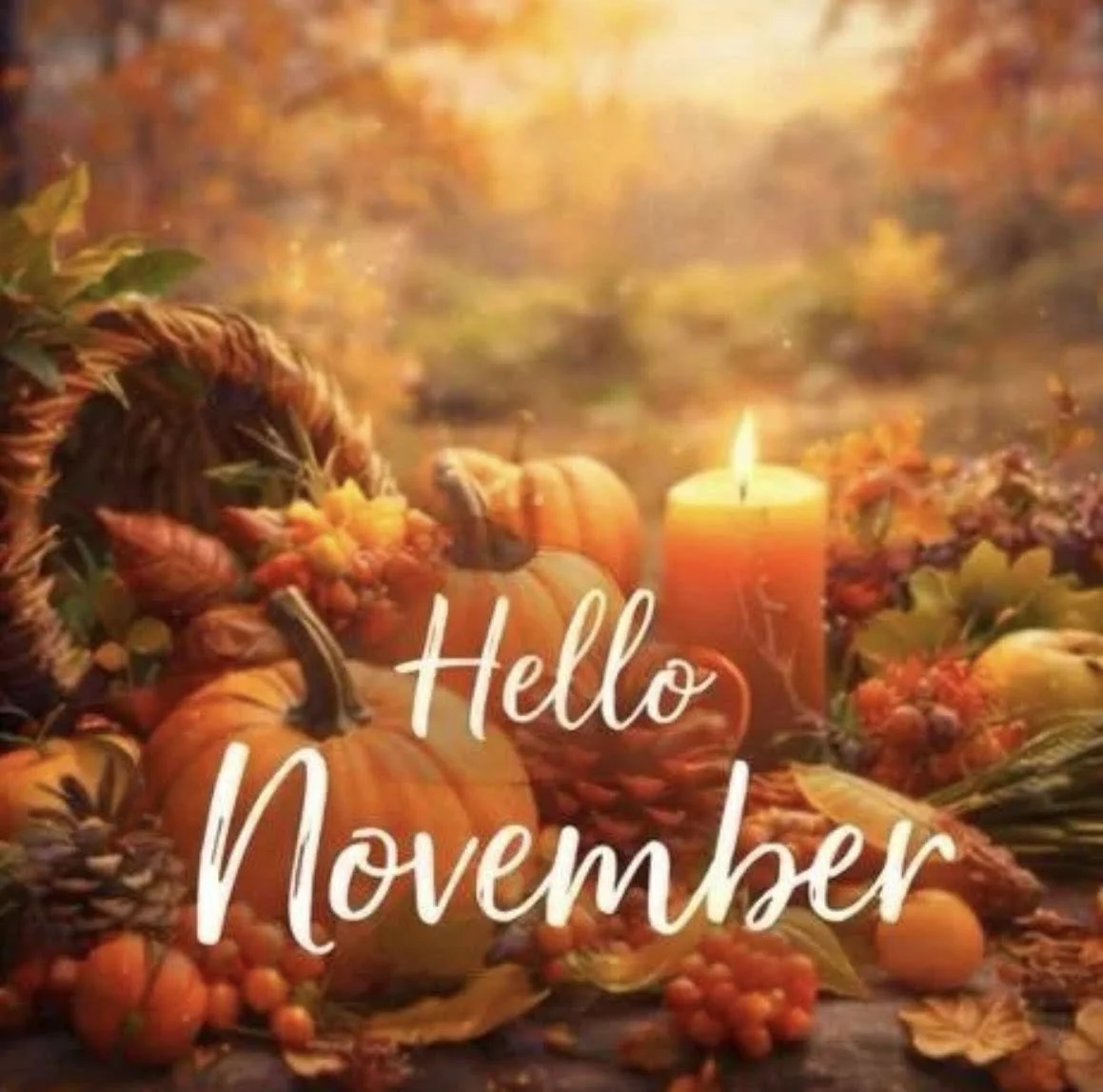 BURLESQUE WITH PARIS NEWSLETTER NOVEMBER 2024