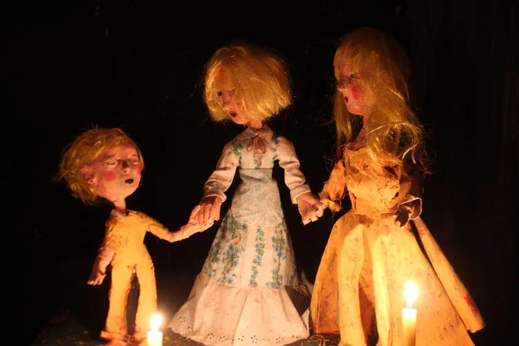 La Casa Lobo (The Wolf House)