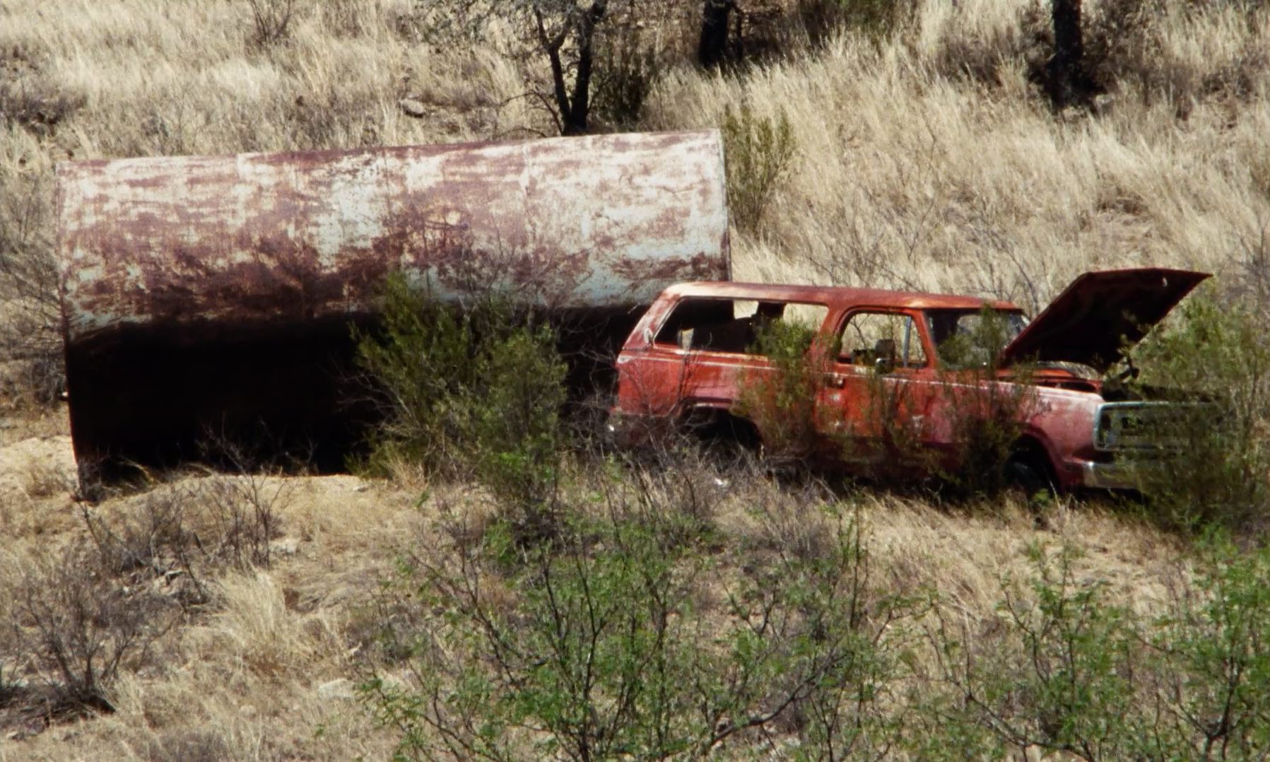 HIFF Newsletter • May 28, 2019