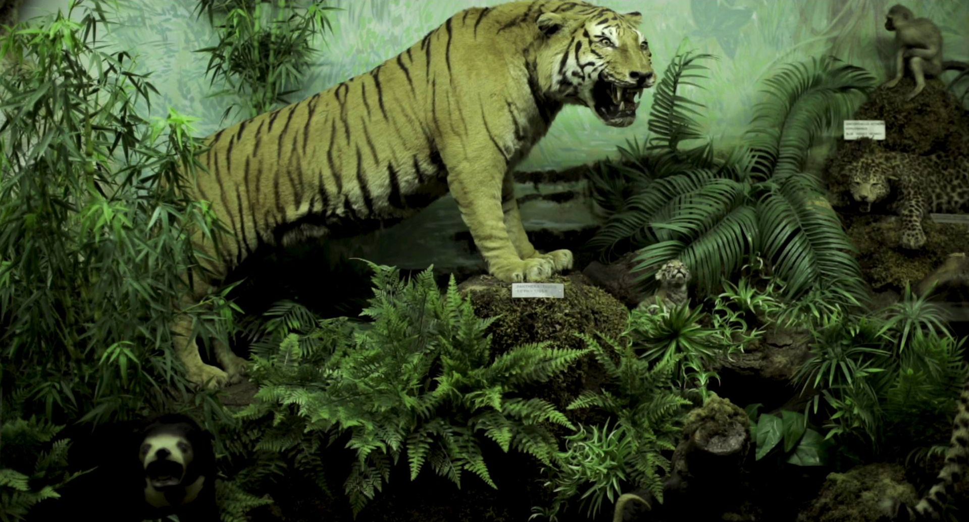 HIFF Newsletter • June 4, 2019