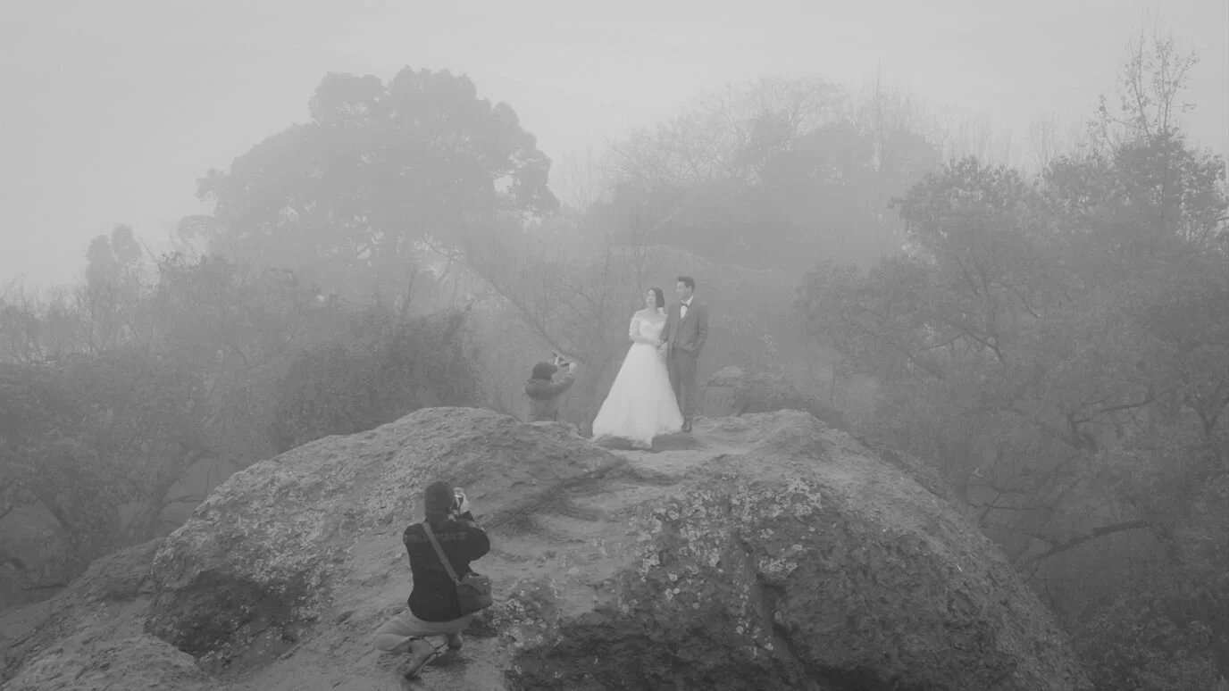 HIFF Newsletter • June 10, 2021