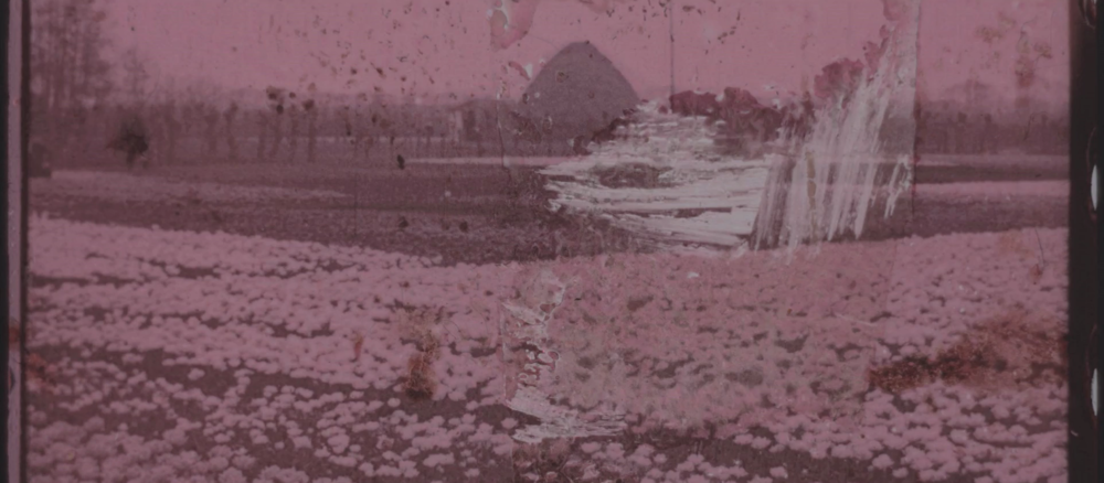 HIFF Newsletter • June 23, 2021