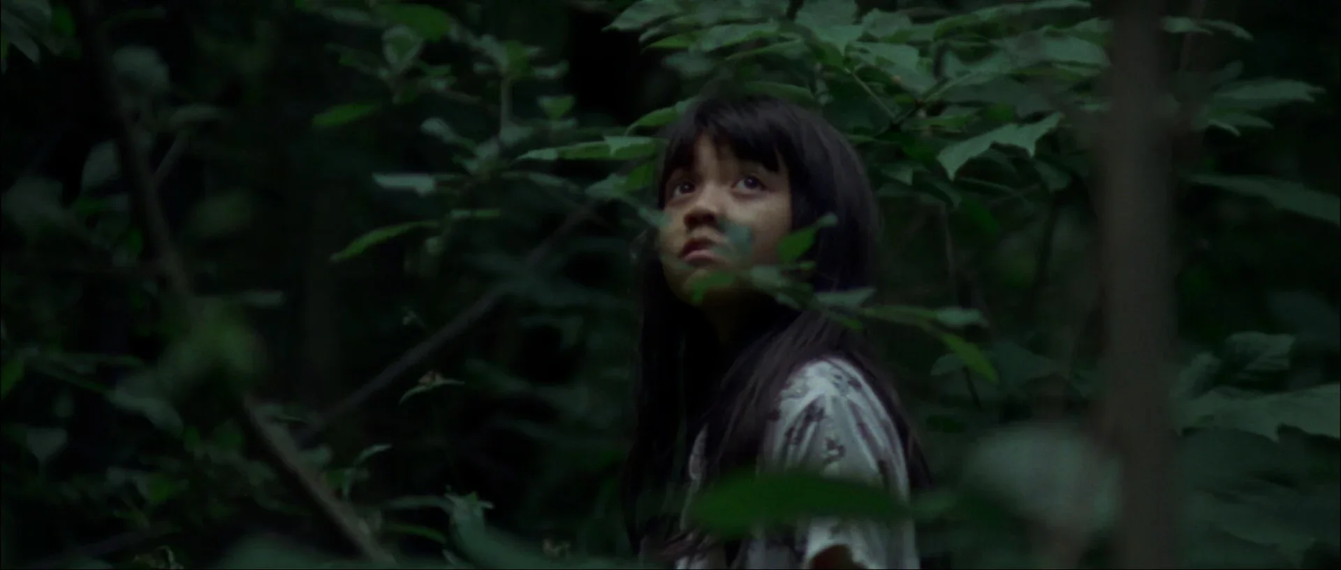 Travelling_Paradise_Heights-2025_Still_06.webp