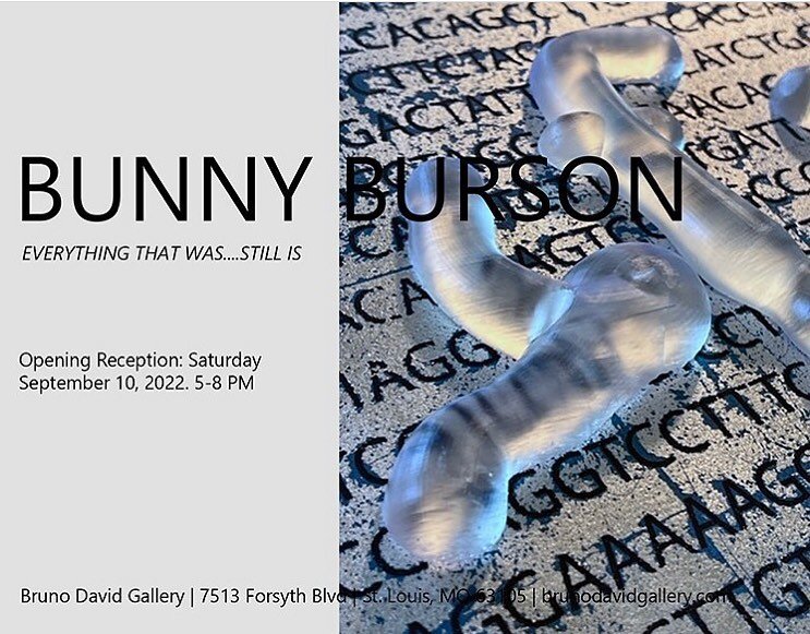 @bunnyburson has a show!  if you are in st. louis in september or october, head to @brunodavidgallery for a brilliant show that asks us to look within to look beyond. 
9-10-22 through 10-22-22

#bunnyburson #brunodavidgallery #printmaking #resin #gen
