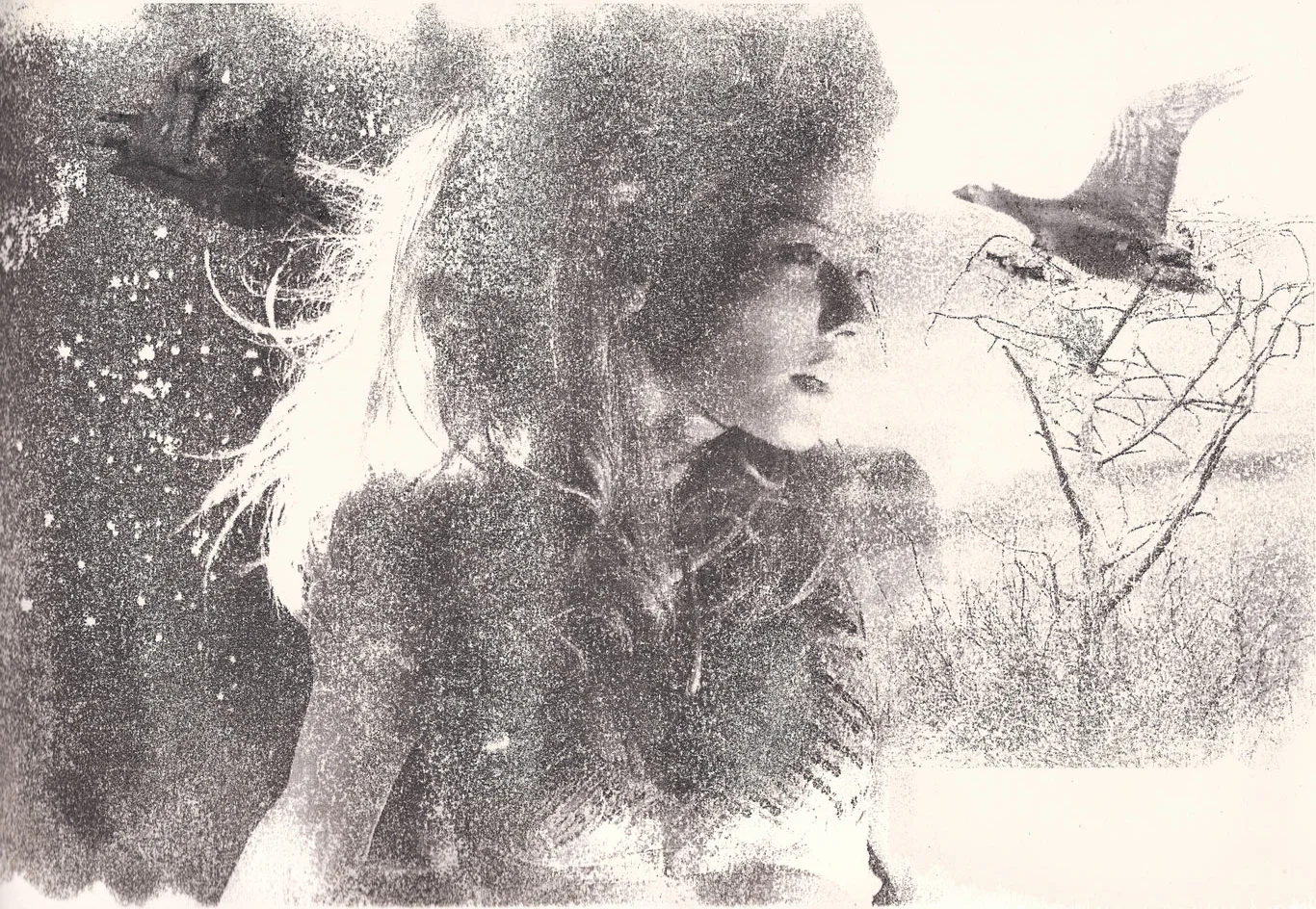 Dream #6