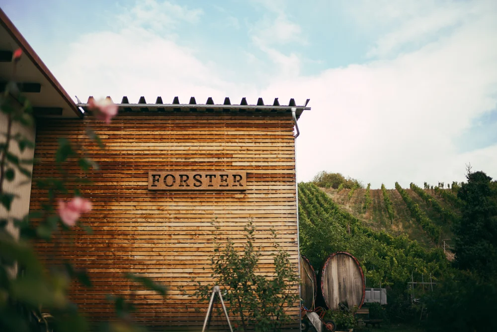 weingut_forster_by_steffenhenkel.jpg