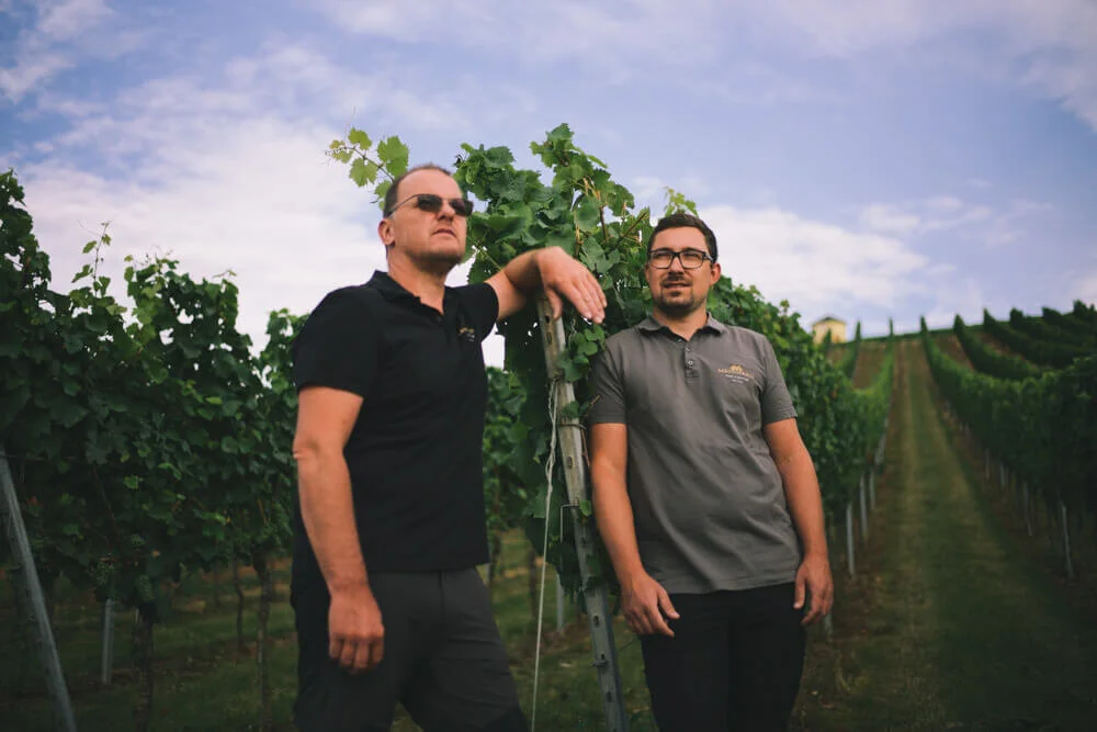 weingut_meinhard_nahe_steffen_henkel-3.jpg