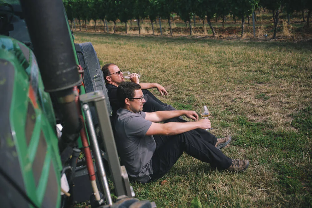 weingut_meinhard_nahe_steffen_henkel-9.jpg