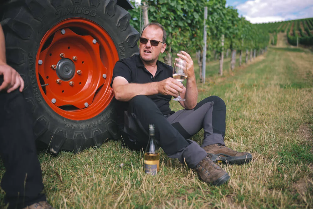 weingut_meinhard_nahe_steffen_henkel-12.jpg