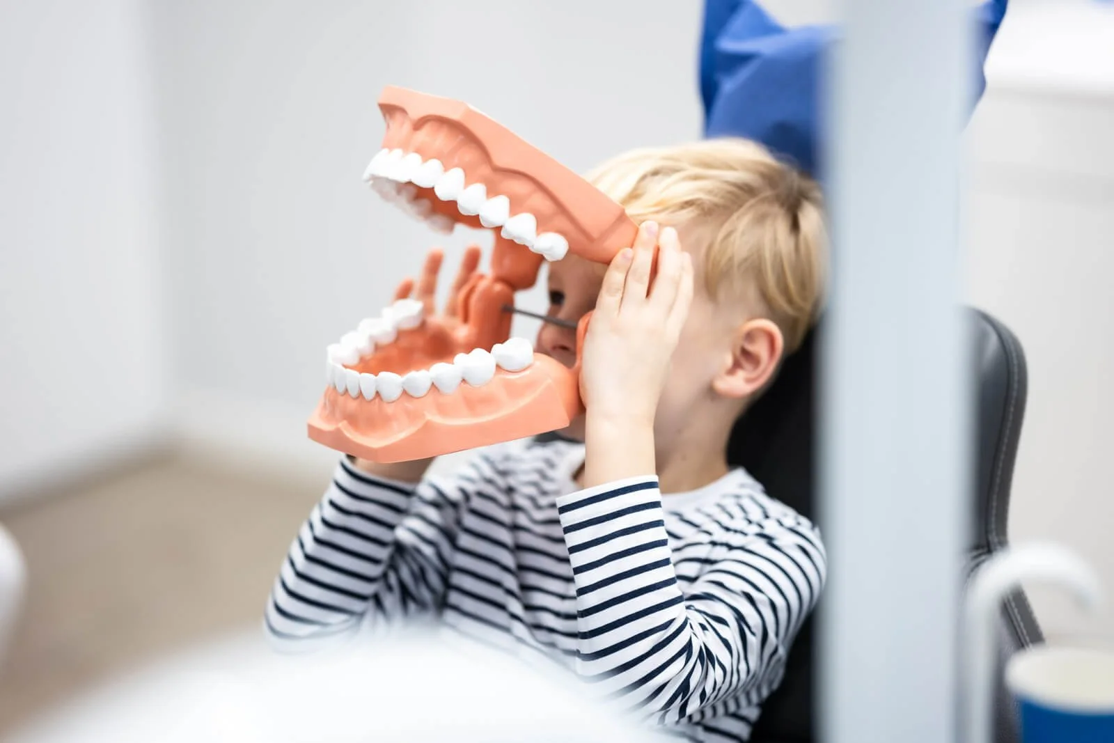 Zahnmedizin_Schupp_Bad_Kreuznach_das_Medienkartell-1.jpg