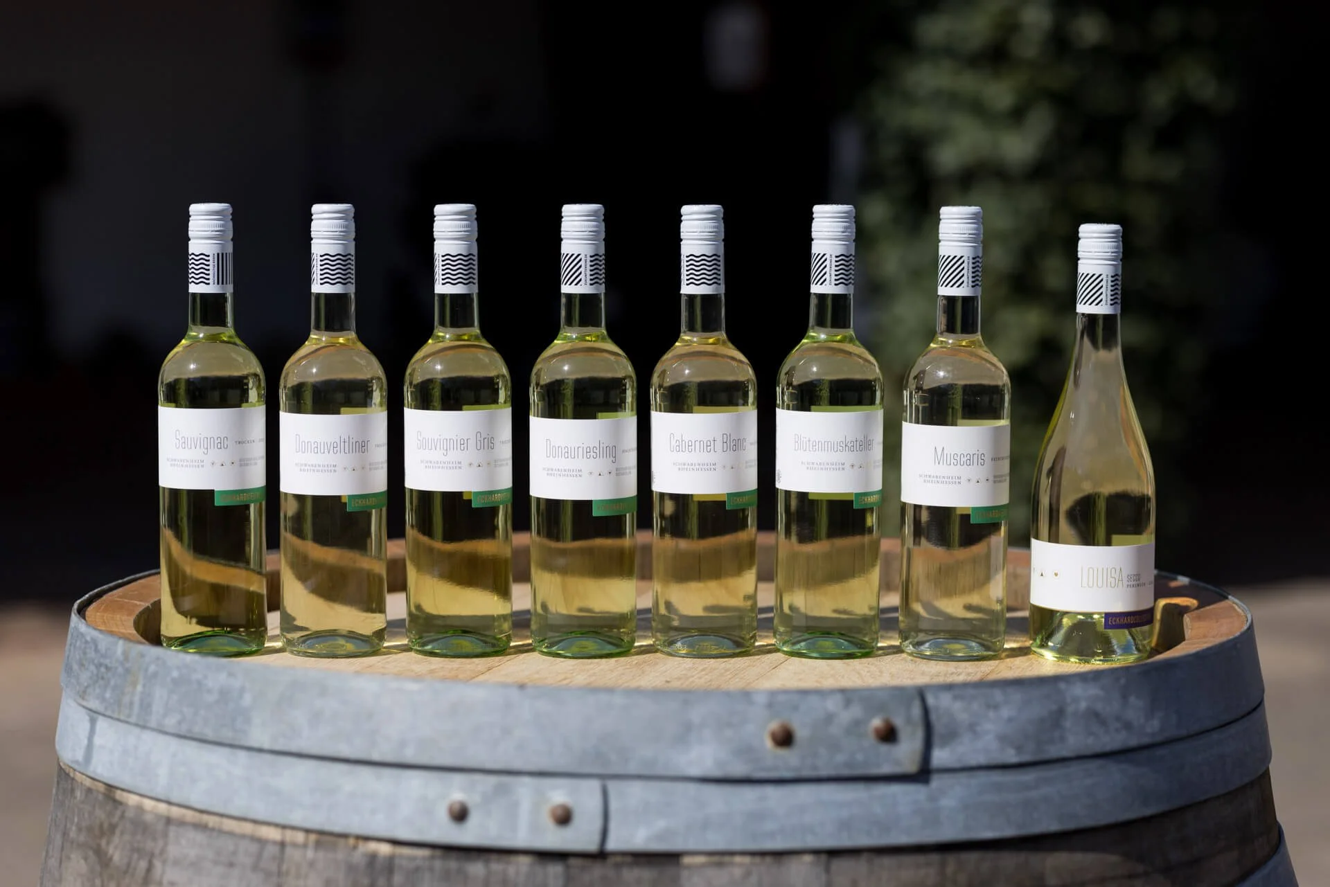 weingut_eckhard_das_medienkartell_steffenhenkel_badkreuznach-10.jpg