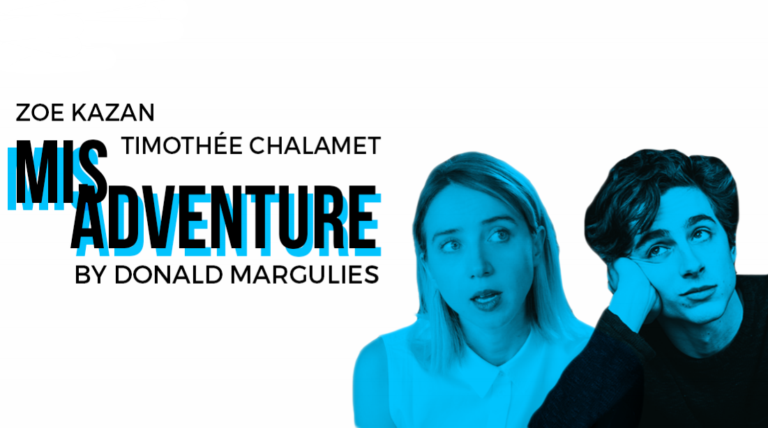 Misadventure by Donald Margulies