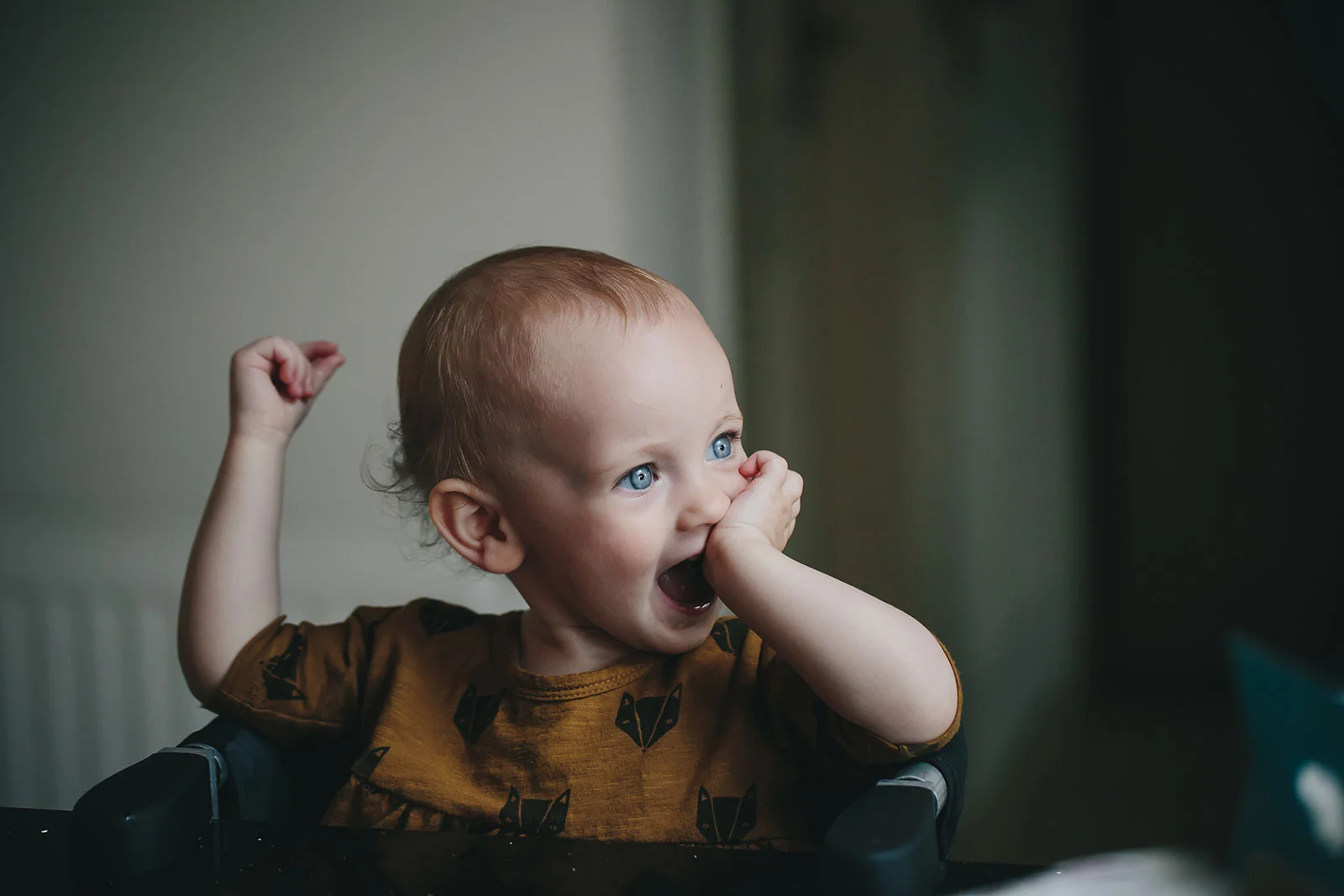 Whistler Family Photographer