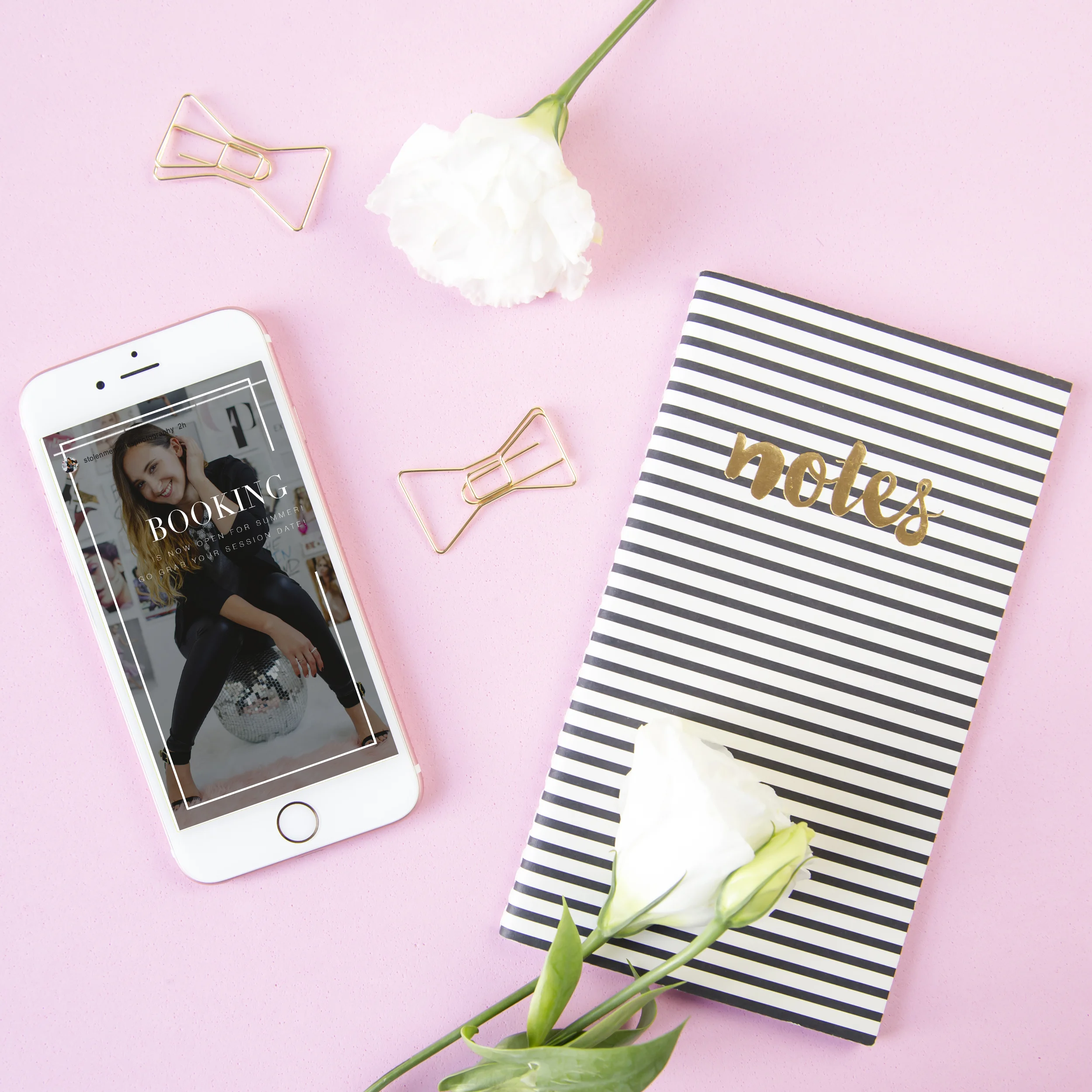phoneDisplay_pinkBackground_outline.jpg