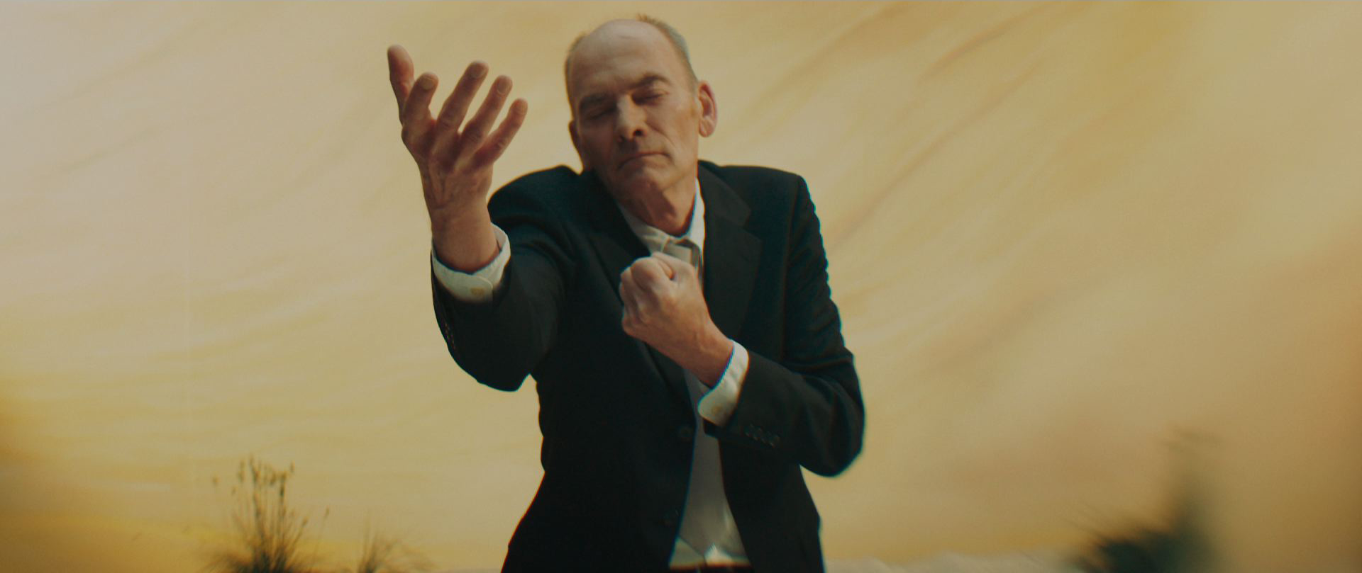 Jungle_Clip2.png