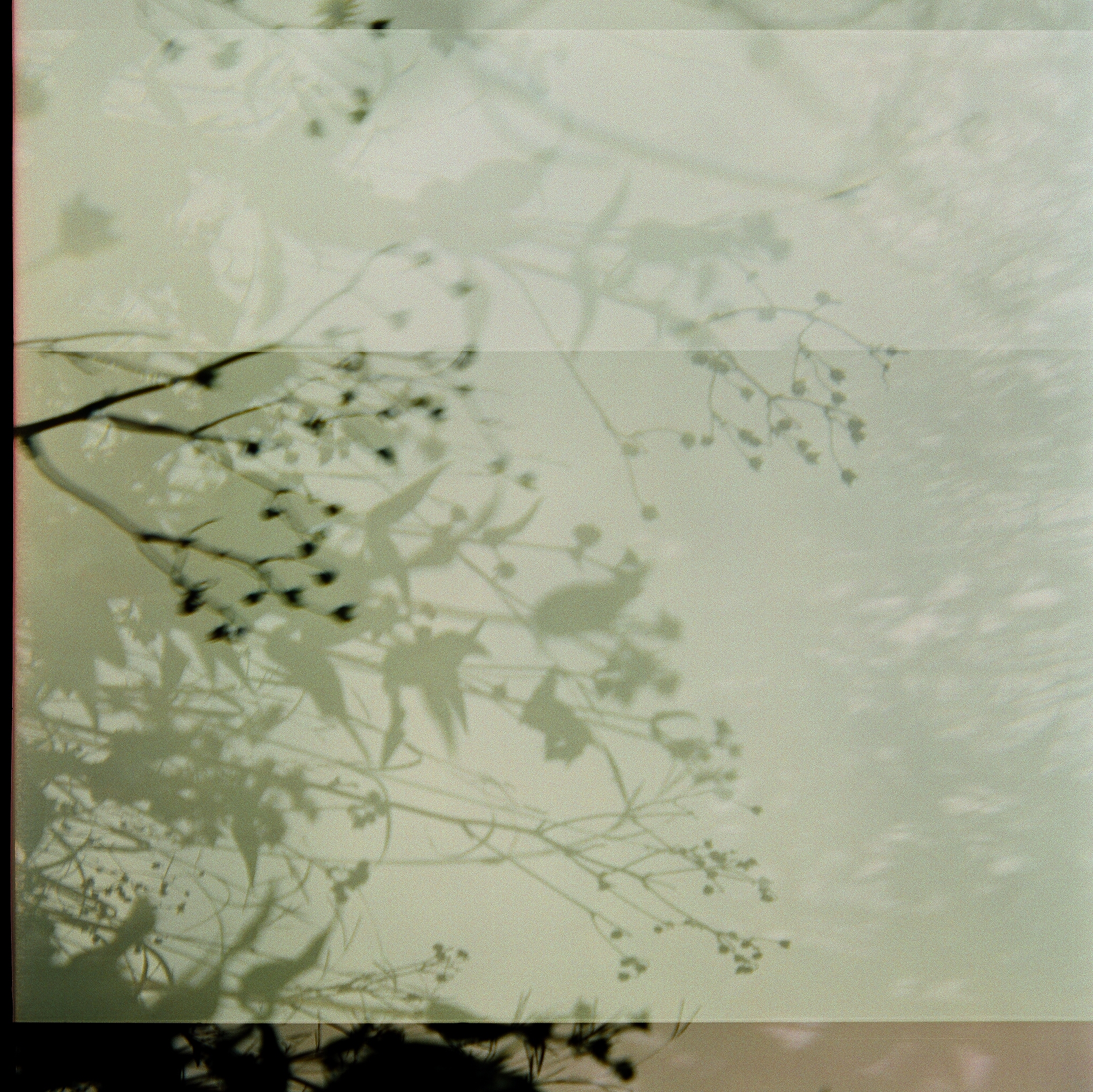 Balance Disorder Inventory Poems