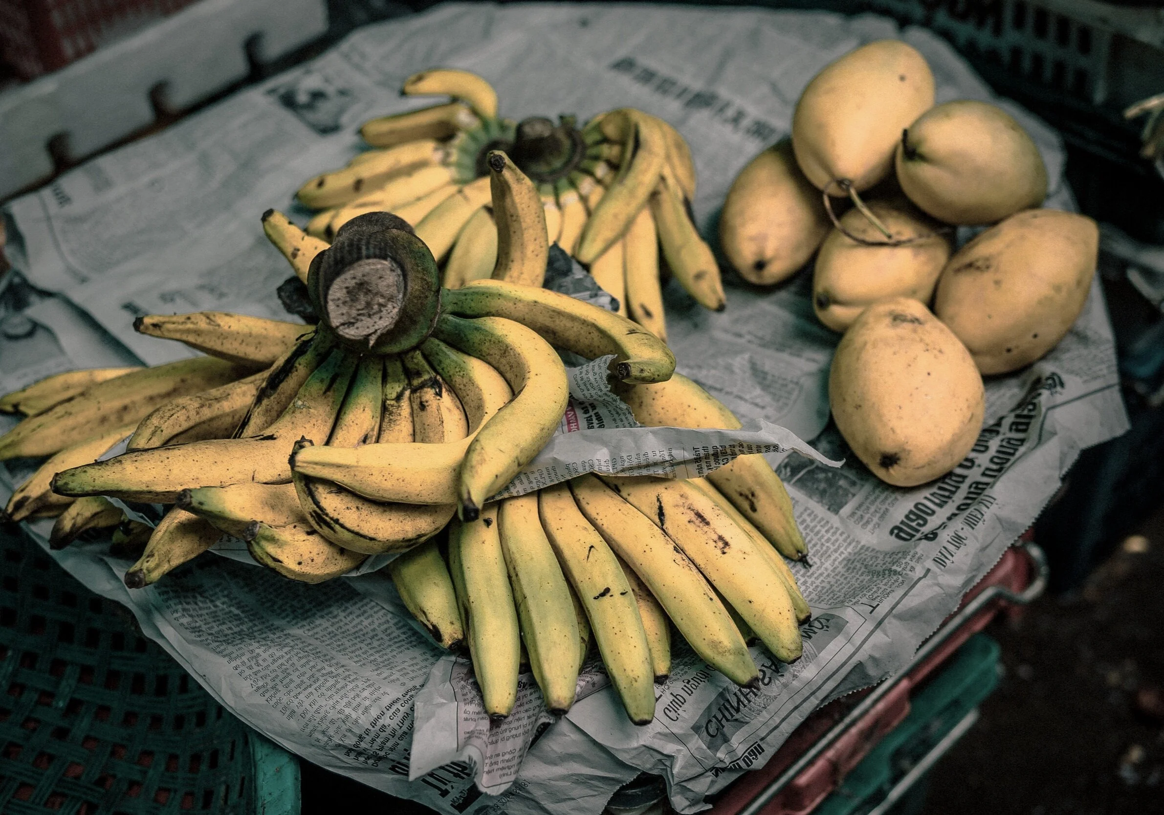 The Route of My Escape