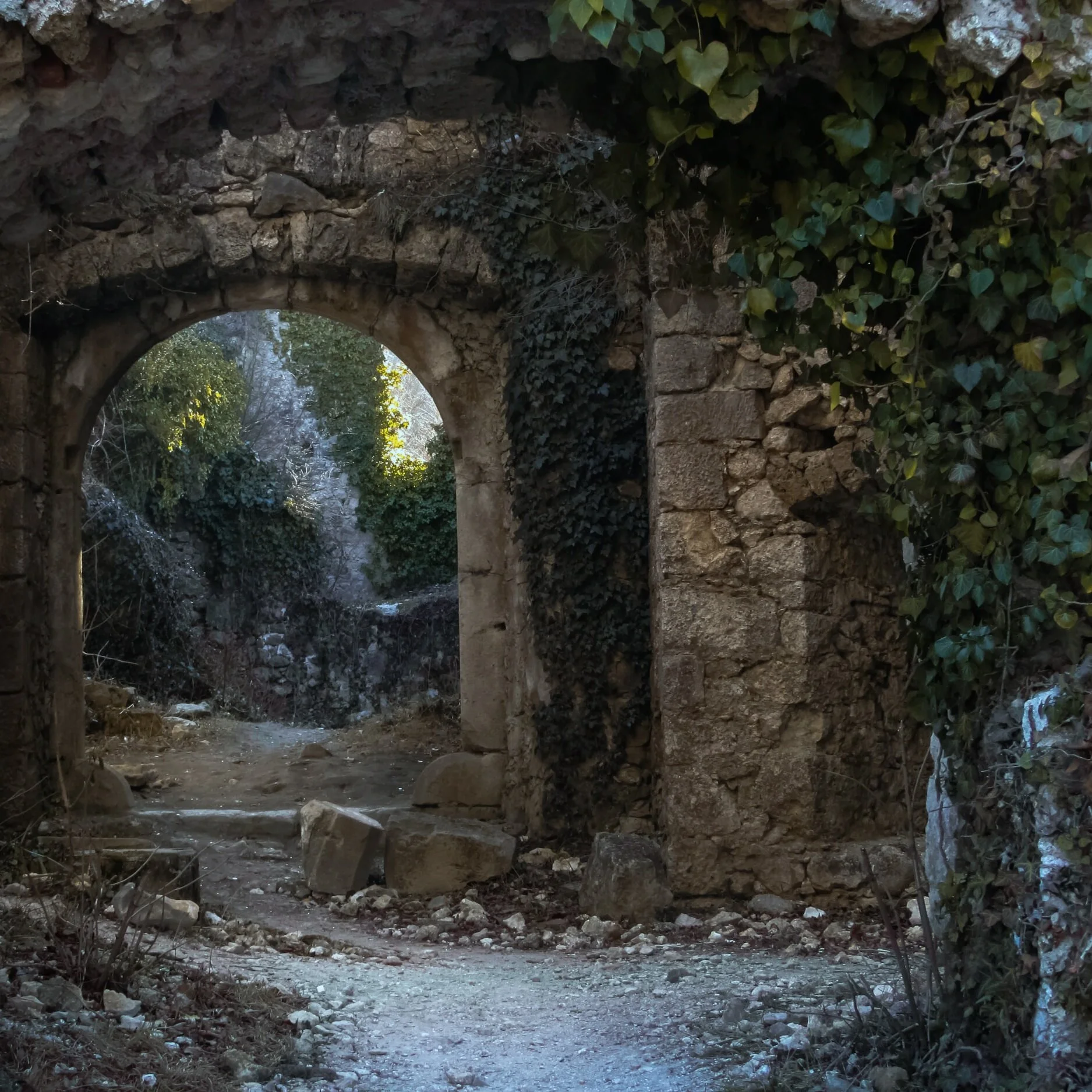 3 Poems by Tresha Haefner