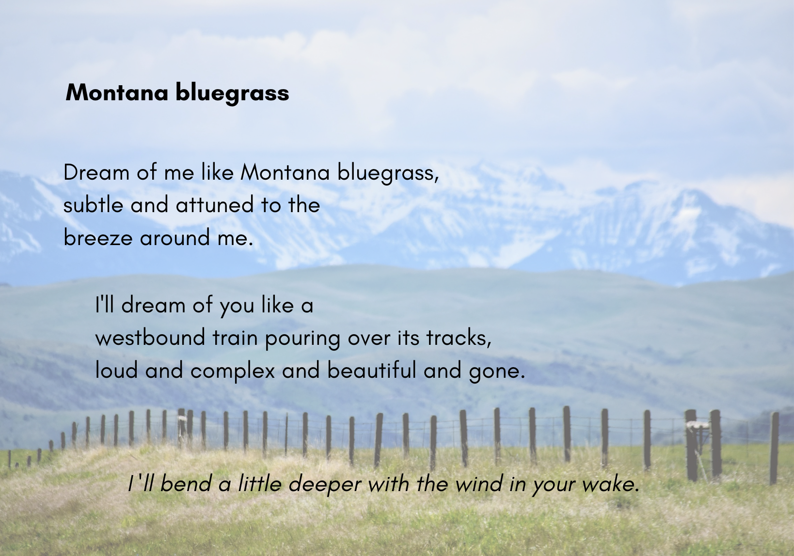 Montana+bluegrass.png