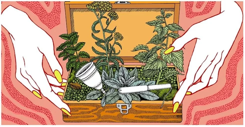 “Period Practices” (2025), The Narwhal 