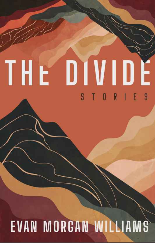 Pre-Order: The Divide