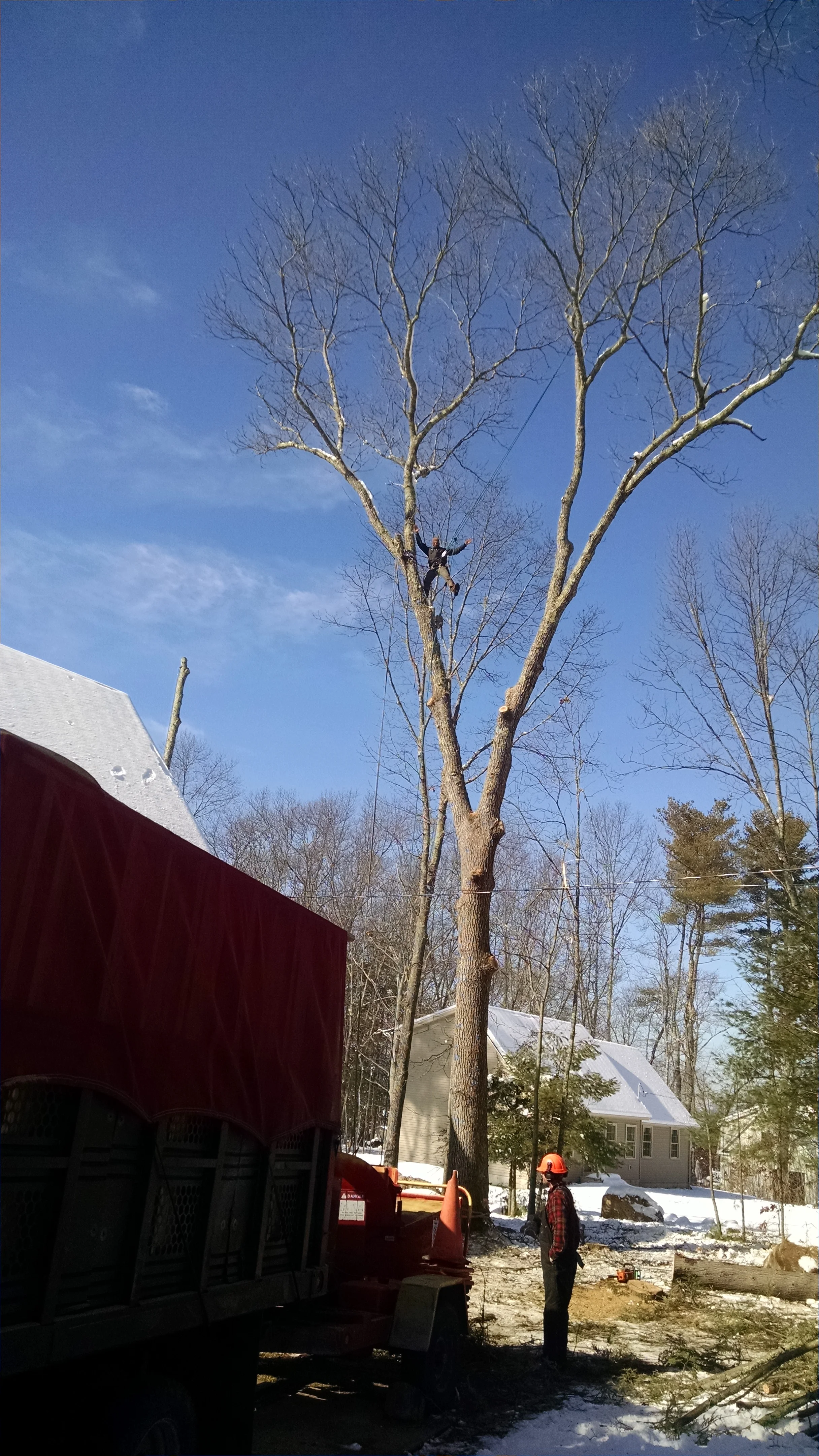We love winter tree work!