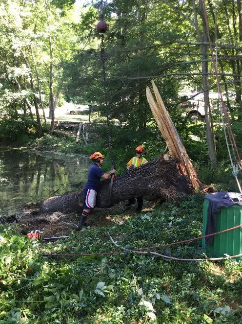 Our latest lake extraction!