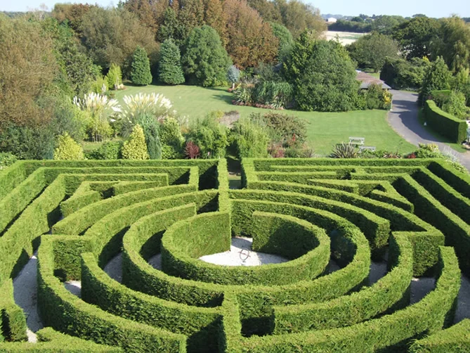 maze.jpg