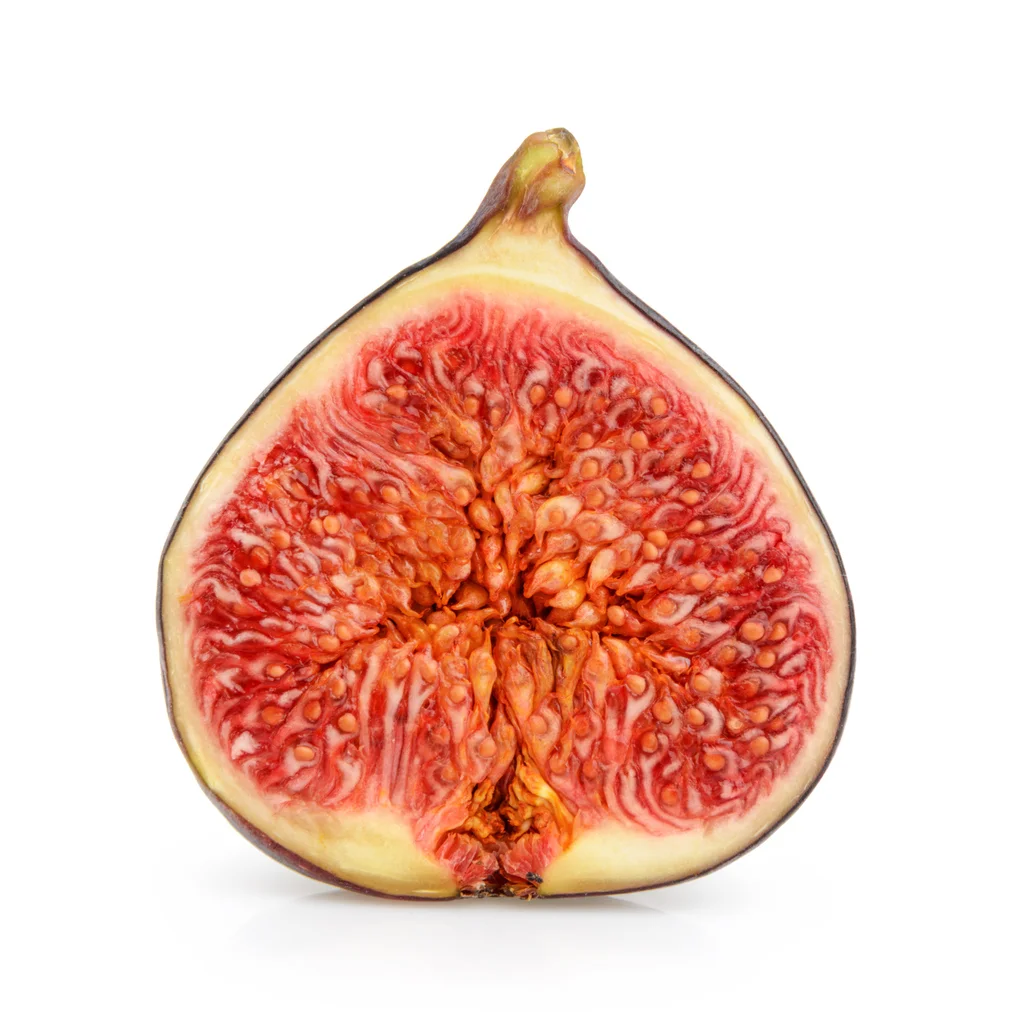 CAROL'S CORNER : A NEW DAWN