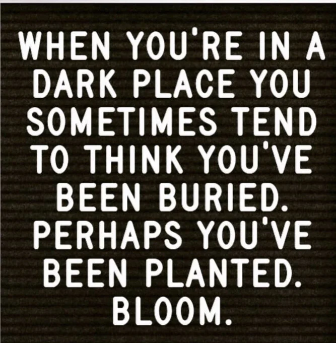 My COVID-19 Inspired New Year's Resolution