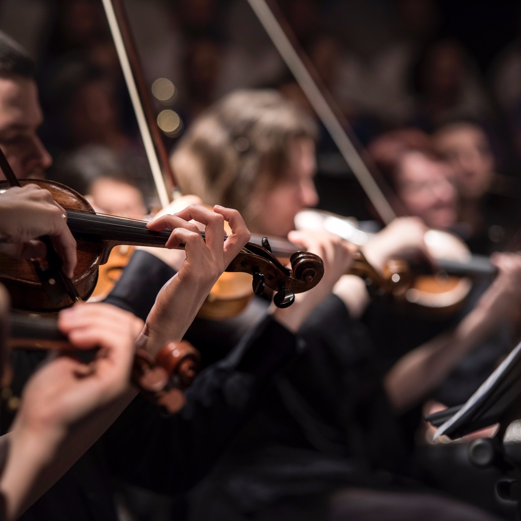 VIOLINS.jpg
