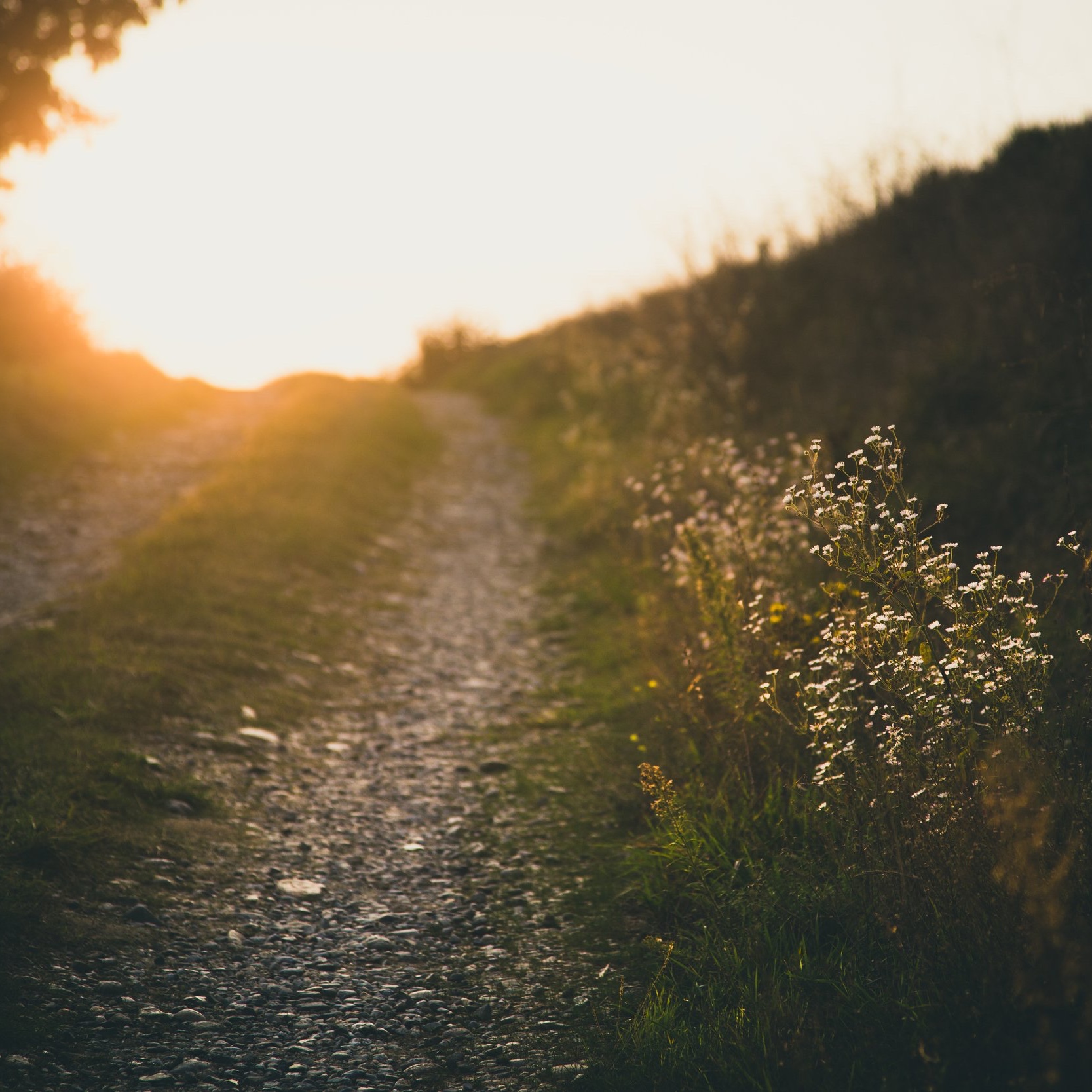 road+into+light.jpg