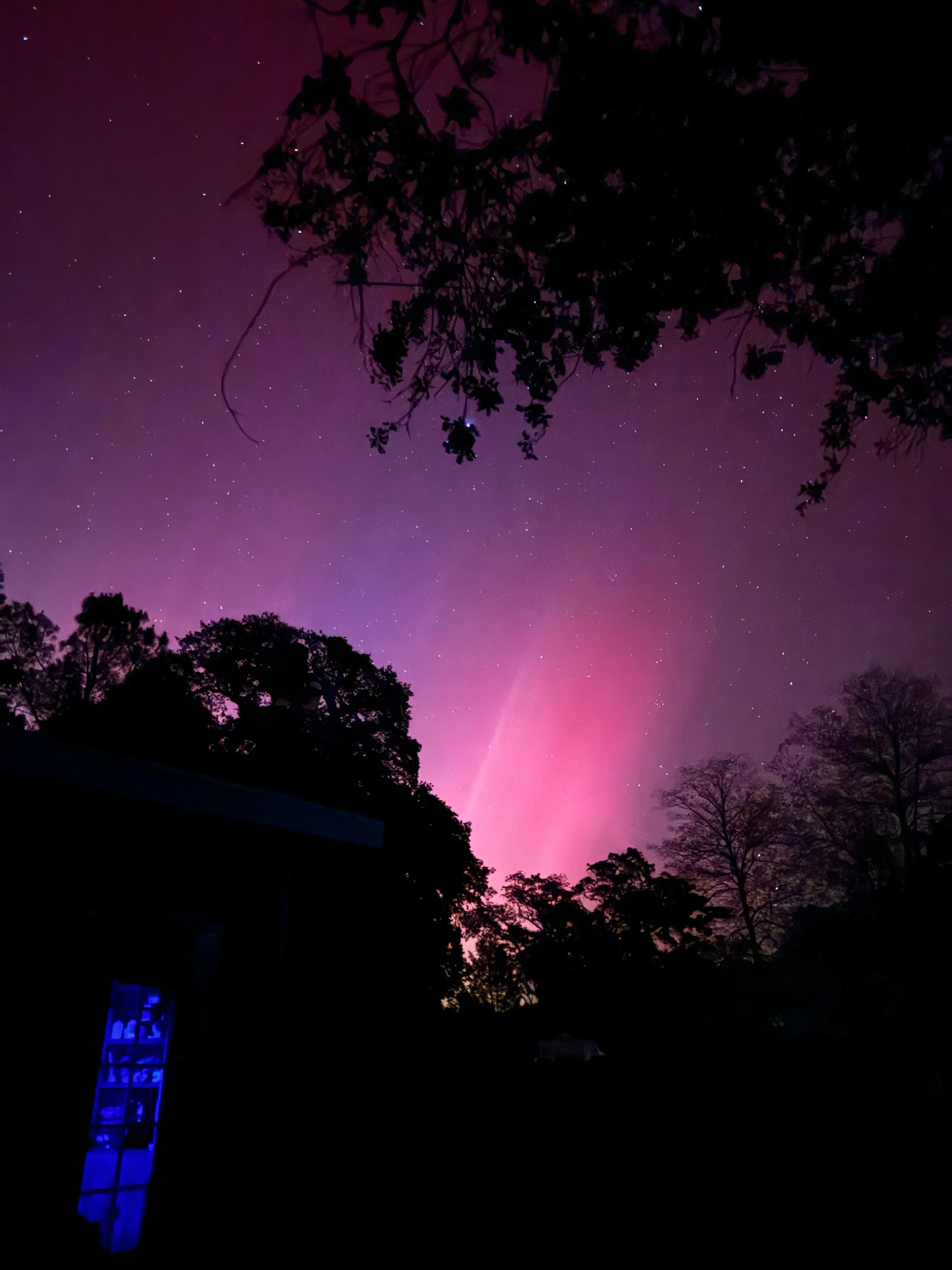 Dylan Burns, "Mystic Aurora"