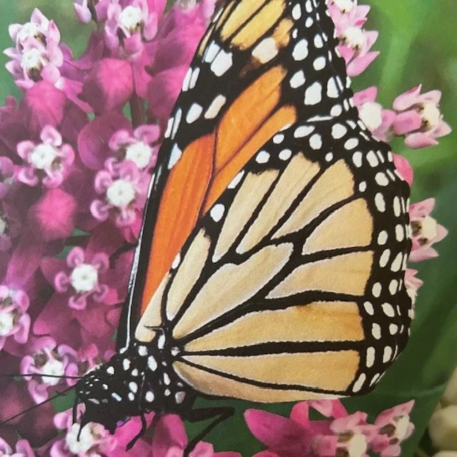 Calling 2D Artists—"Plant the Seed," a Juried Exhibition